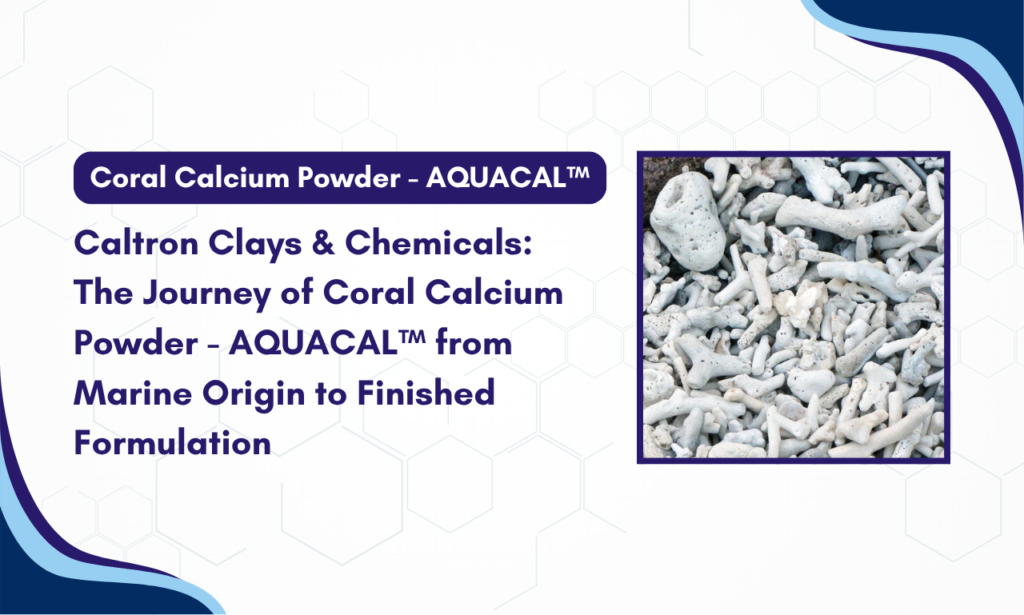Caltron Clays & Chemicals: AQUACAL™ Coral Calcium Powder Manufacturer in India – From Marine Origin to Finished Formulation